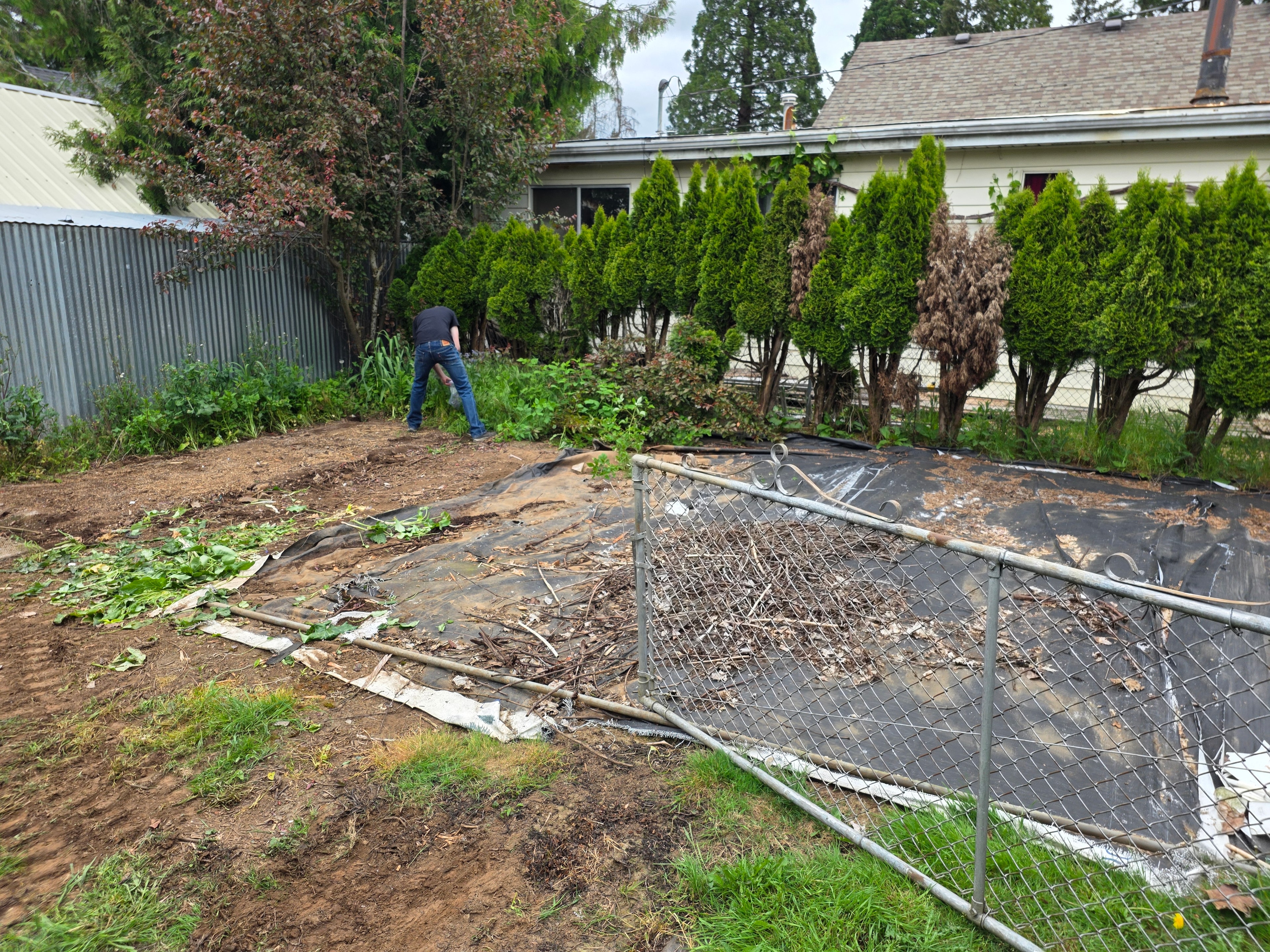 Clean yard after building removal and haul-away Oregon City