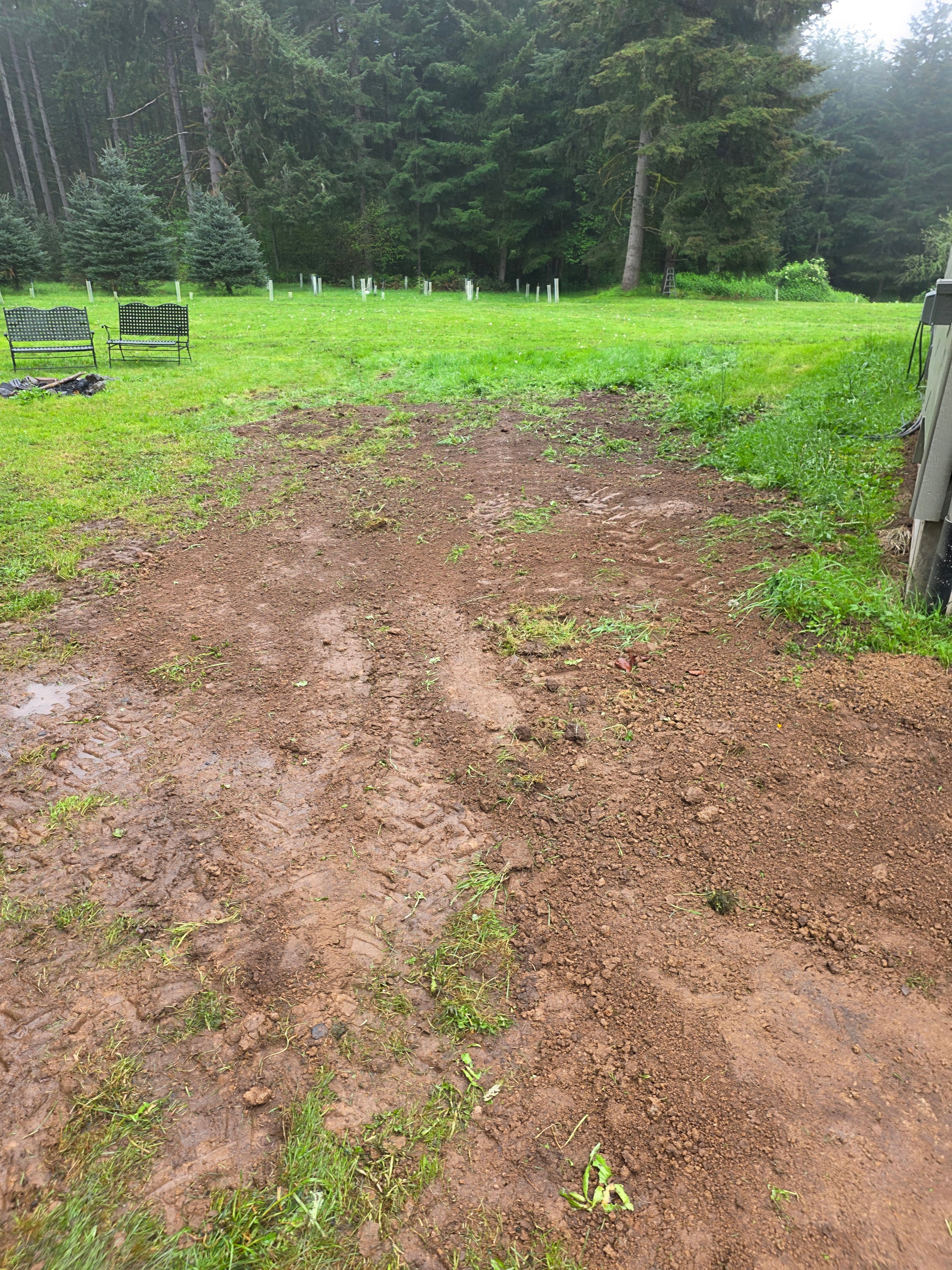 Completed French drain system Portland residential drainage