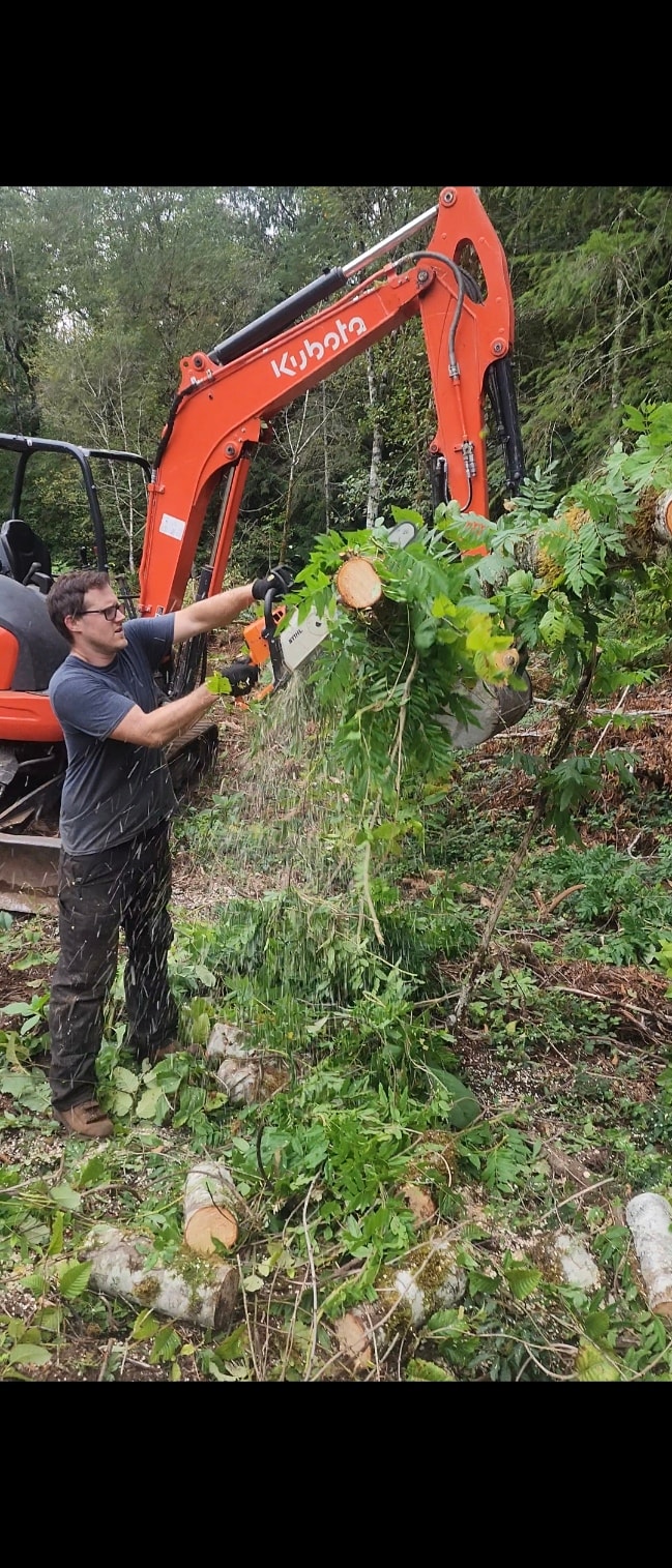 Land Clearing